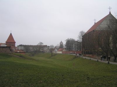 241